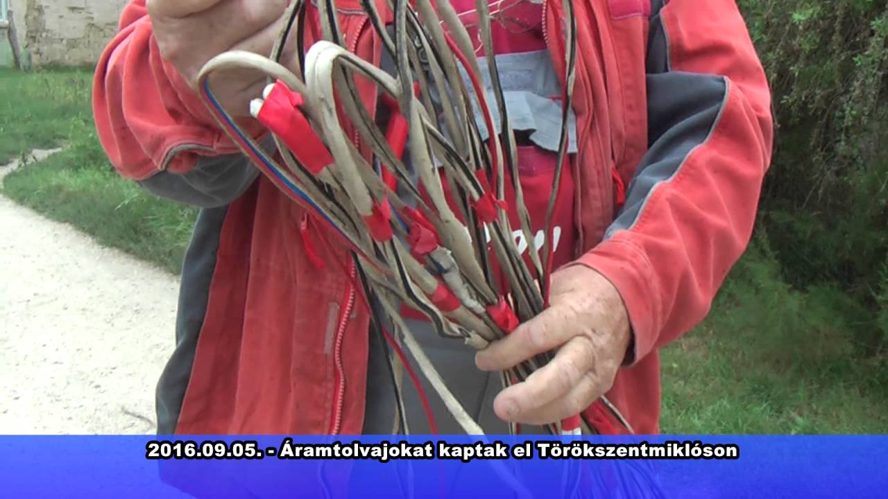 2016.09.05.  &Aacute;ramtolvajokat kaptak el T&ouml;r&ouml;kszentmikl&oacute;son
