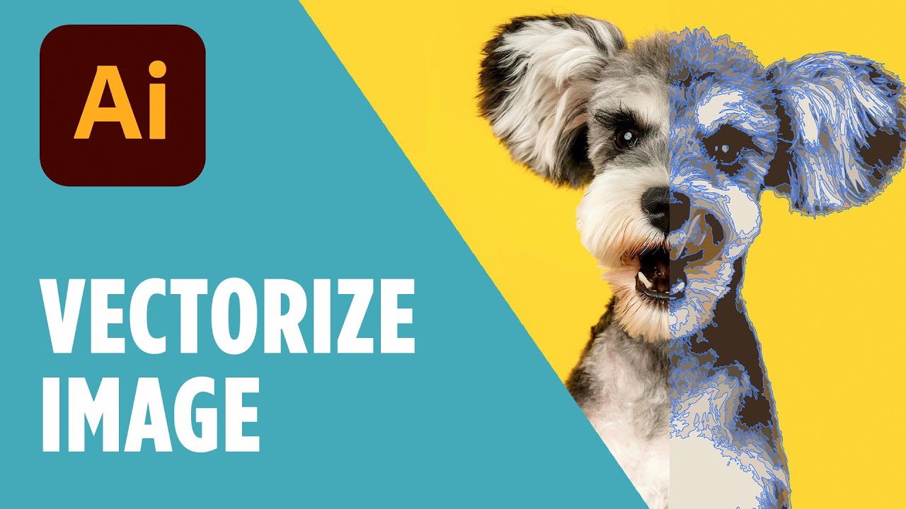 Vectorize Any Image in Illustrator with Image Trace