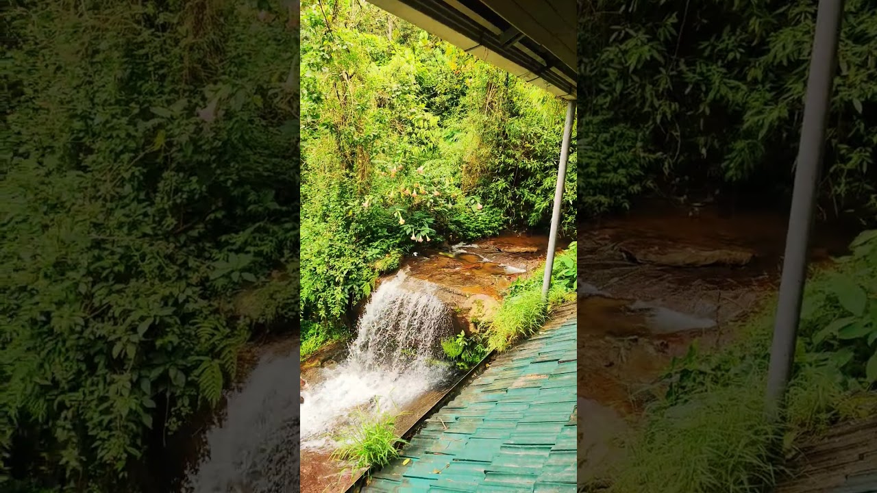 stay near Falls⛰️ Sholayar Dam #tourism #tamilvlog #tamilvlogs #tamiltourism #tnvlogs #sholayardam