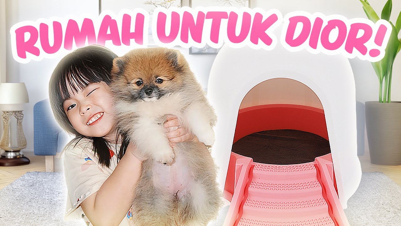 YUKA-CHAN BELI RUMAH UNTUK ANJING KESAYANGAN! | vlog
