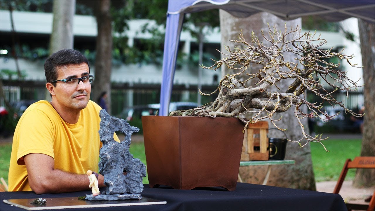 Bonsai Rio 2018 - Exposição