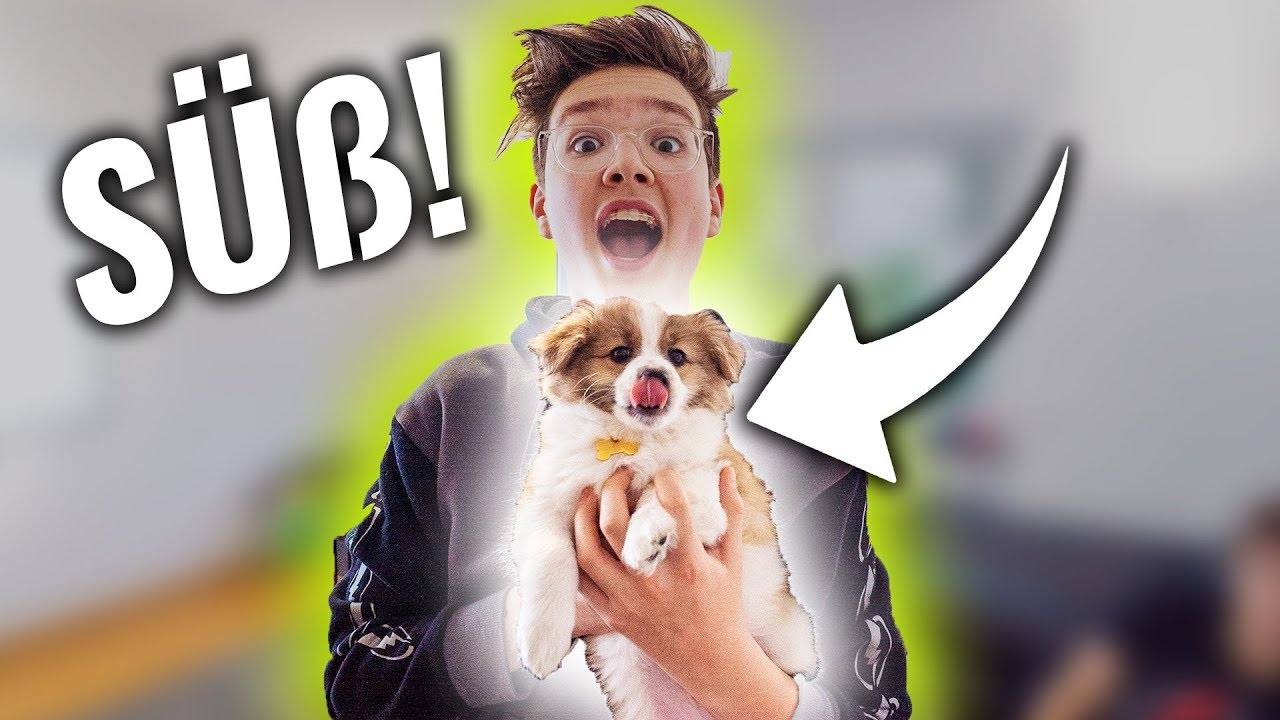 Ich habe einen WELPEN GEKAUFT! **kein Clickbait!**