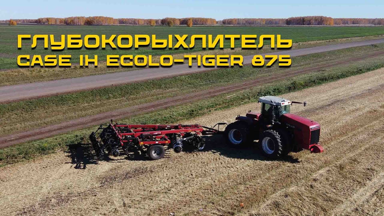 Обзор глубокорыхлителя CASE IH ECOLO-TIGER 875 и отзыв владельца 2 агрегатов главы КФХ Клочкова А.П.