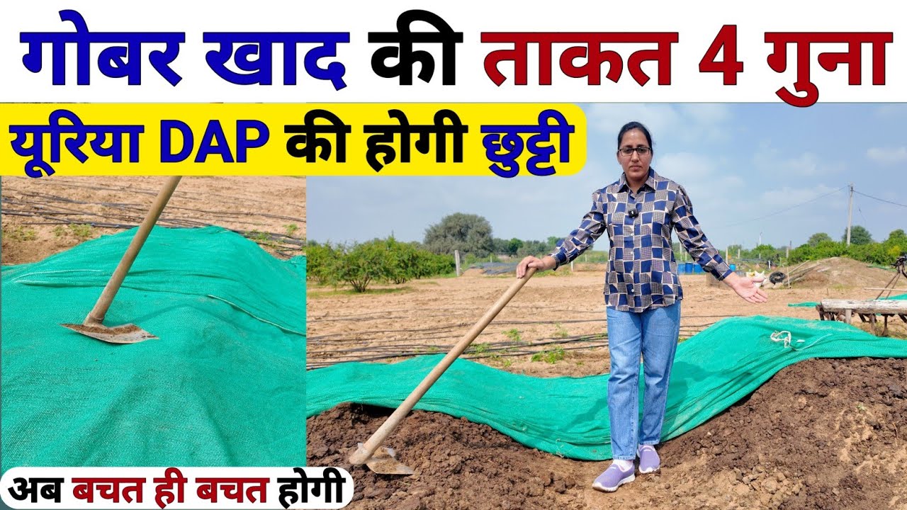 यूरिया DAP की होगी छुट्टी 🤑 गोबर खाद की ताकत 4 गुना बढाएं | organic highpower fertilizer | npk khad