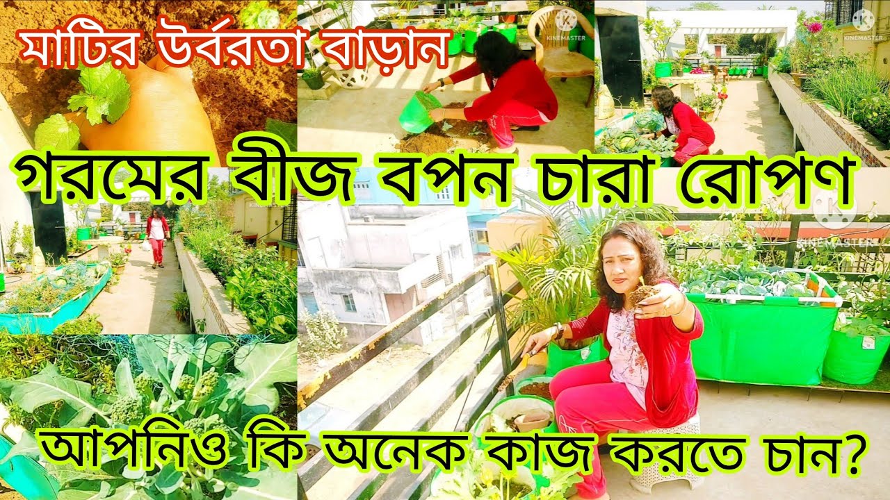 purono matir urborota baran . Garomer bij bapon, chara ropon.  Kaj korun valo thakun..#roofgarden