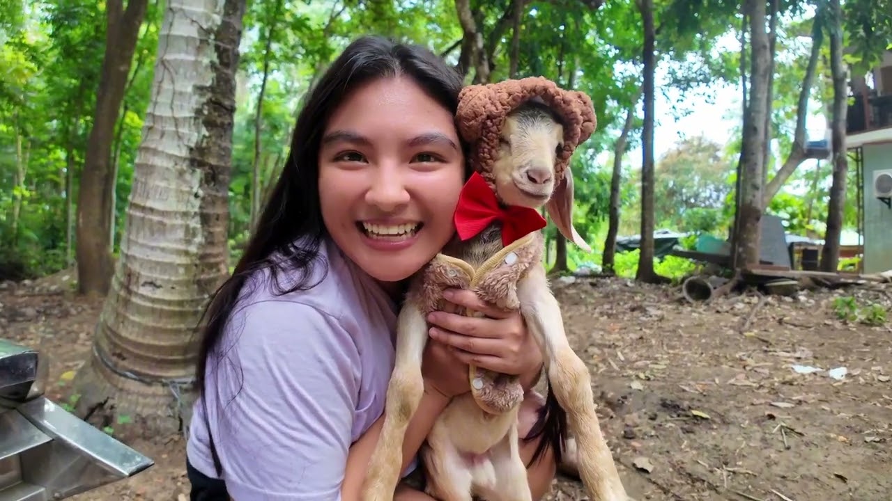 Itinakas ko ang Kambing ni Pareng Dayo