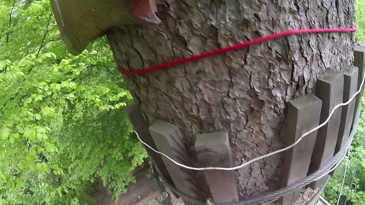 Aventura Parc  Brasov -  Traseul negru cap - coada