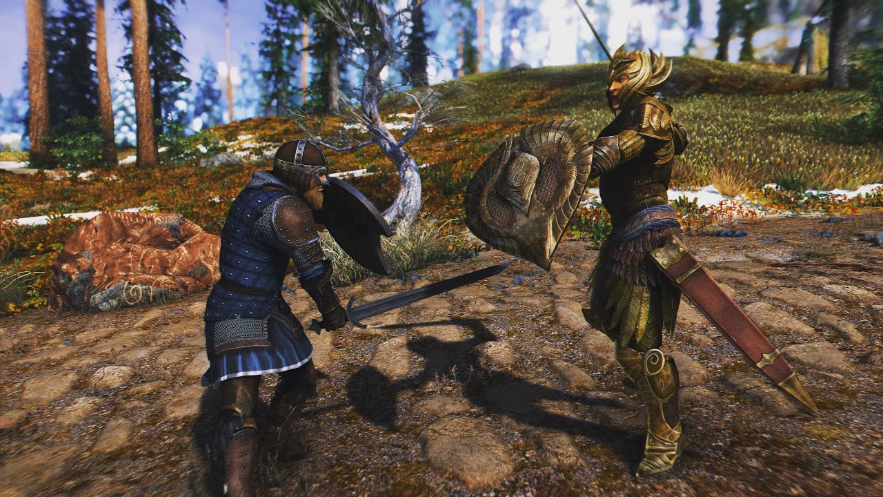 Skyrim NPC Battle - Thalmor Vs. Stormcloaks
