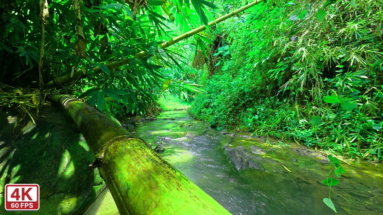 River Sounds for Sleep 🌿 Calm Flowing Water Ambience (No AI)