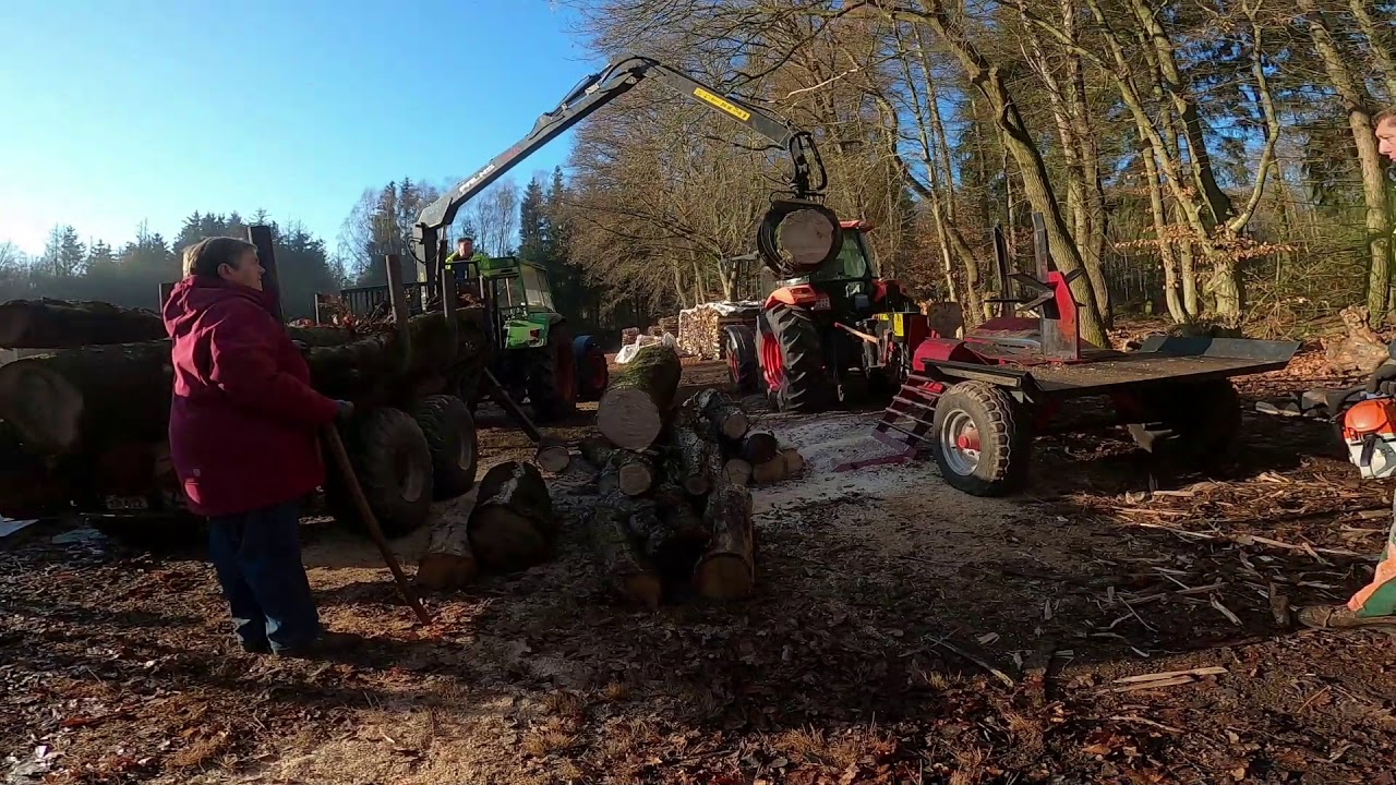 Holz spalten mit Growi