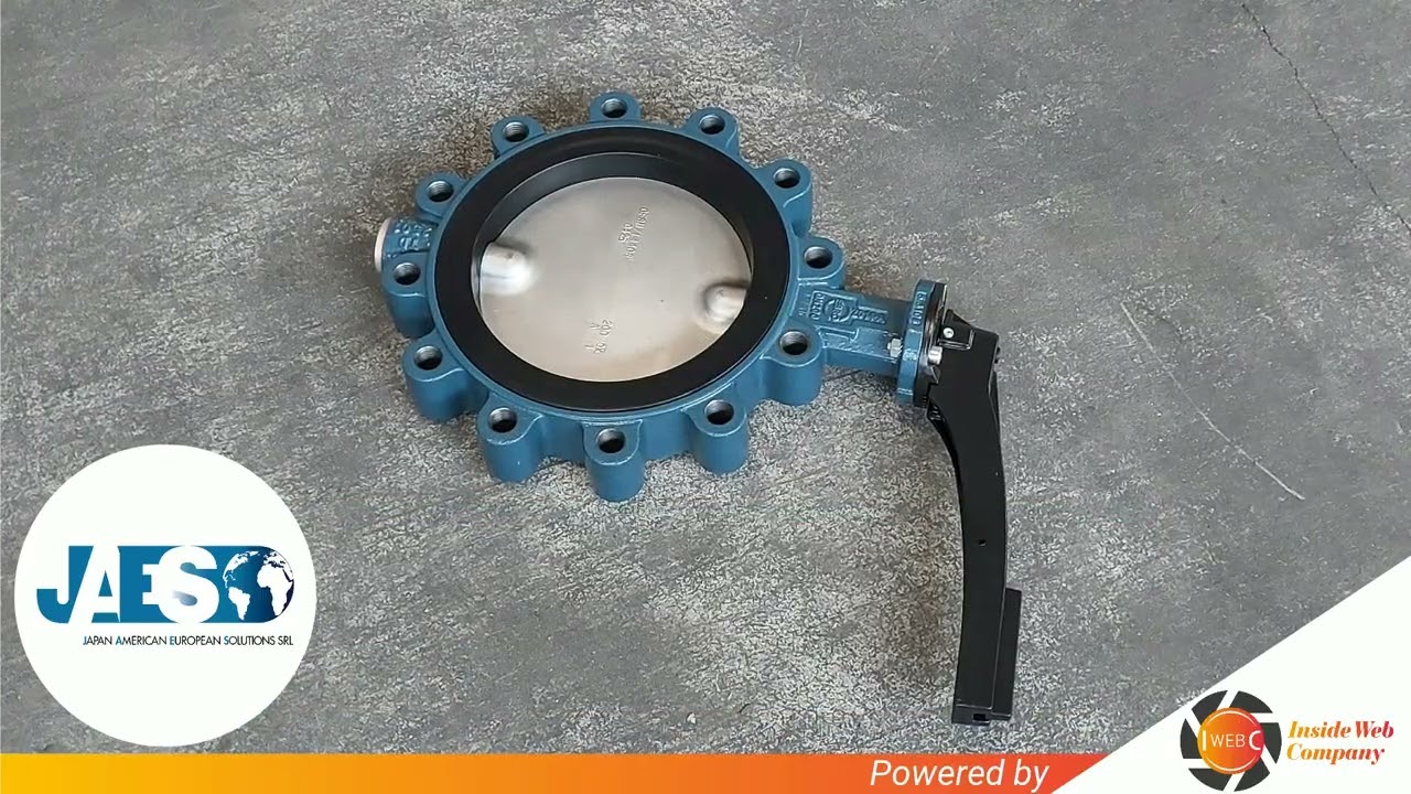 EBRO ARMATUREN EBRO E1.A15B1ED0CD (INSTOCK) BUTTERFLY VALVE - VALVOLA A FARFALLA