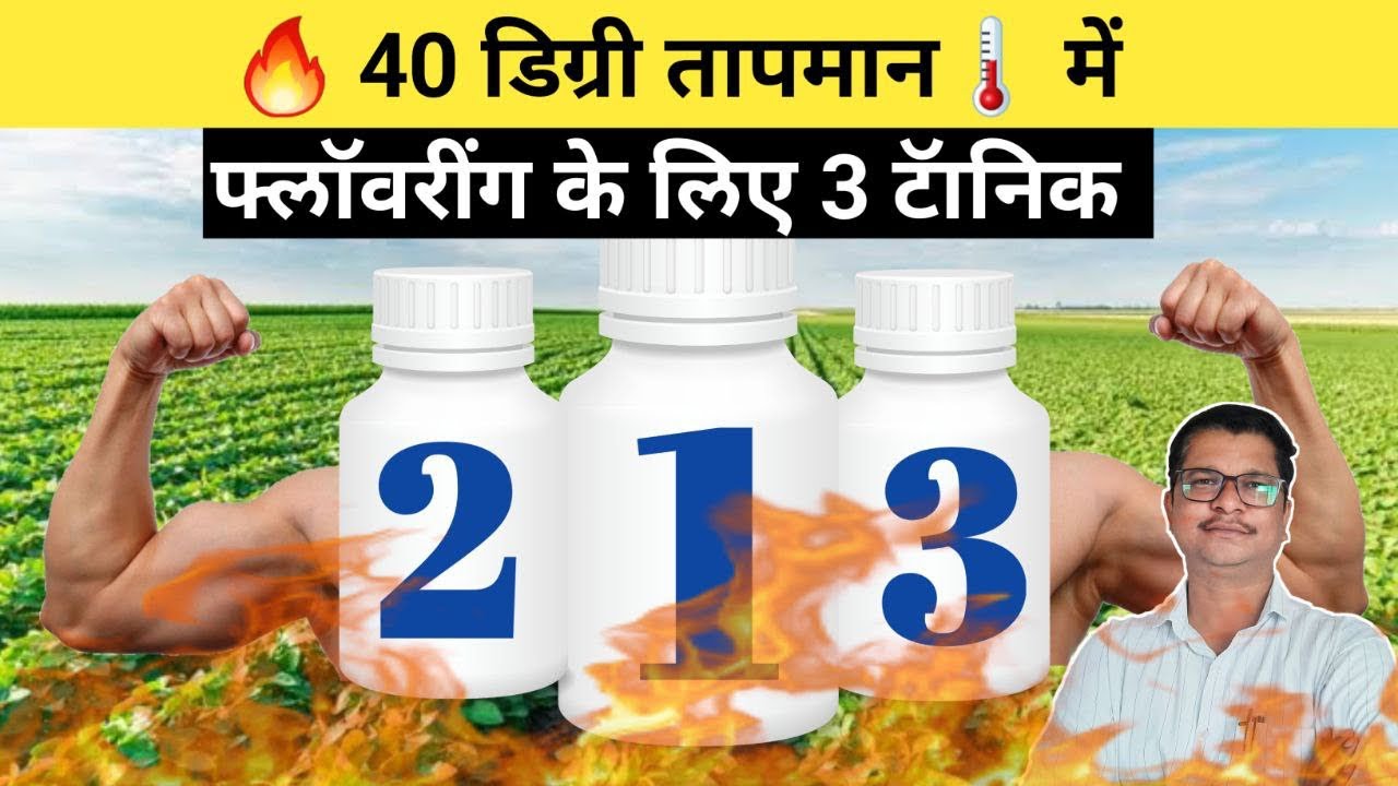 40 डिग्री तापमान में फ्लॅावरींग के लिए 3 टॅानिक । plant tonic 🌱