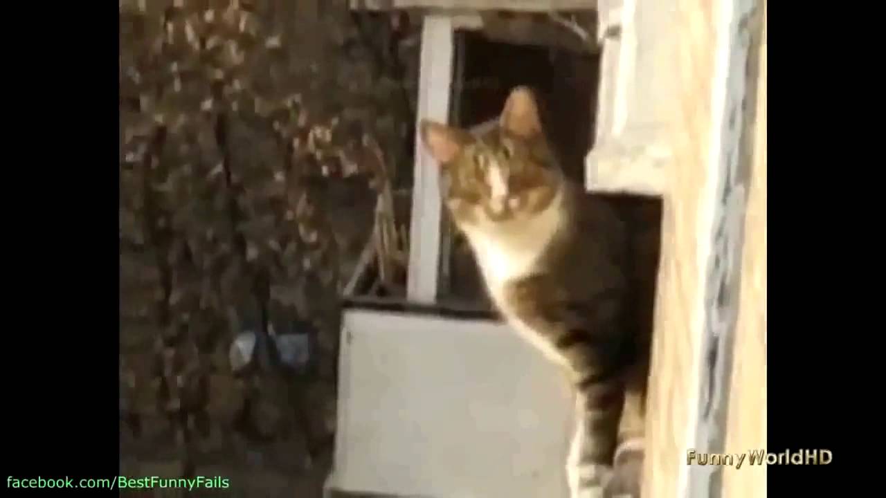 Funny Videos de Humor Funny fails