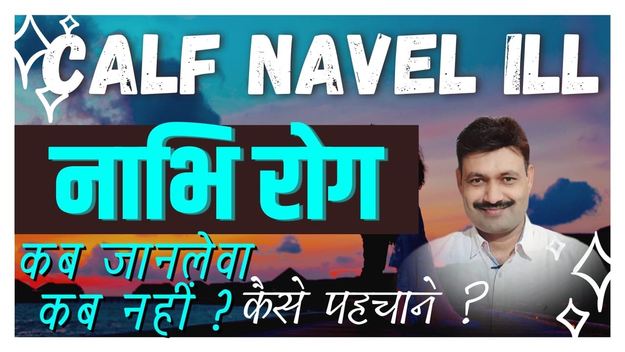 Calf Navel ill Infection Beef Cattle / Calf Nabhi Rog ke lakshan      Ramawat