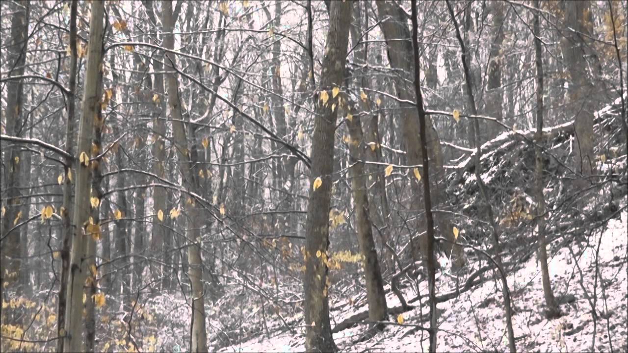 Aphex Twin - rhubarb orc. 19.53 rev [unrev mono edit]