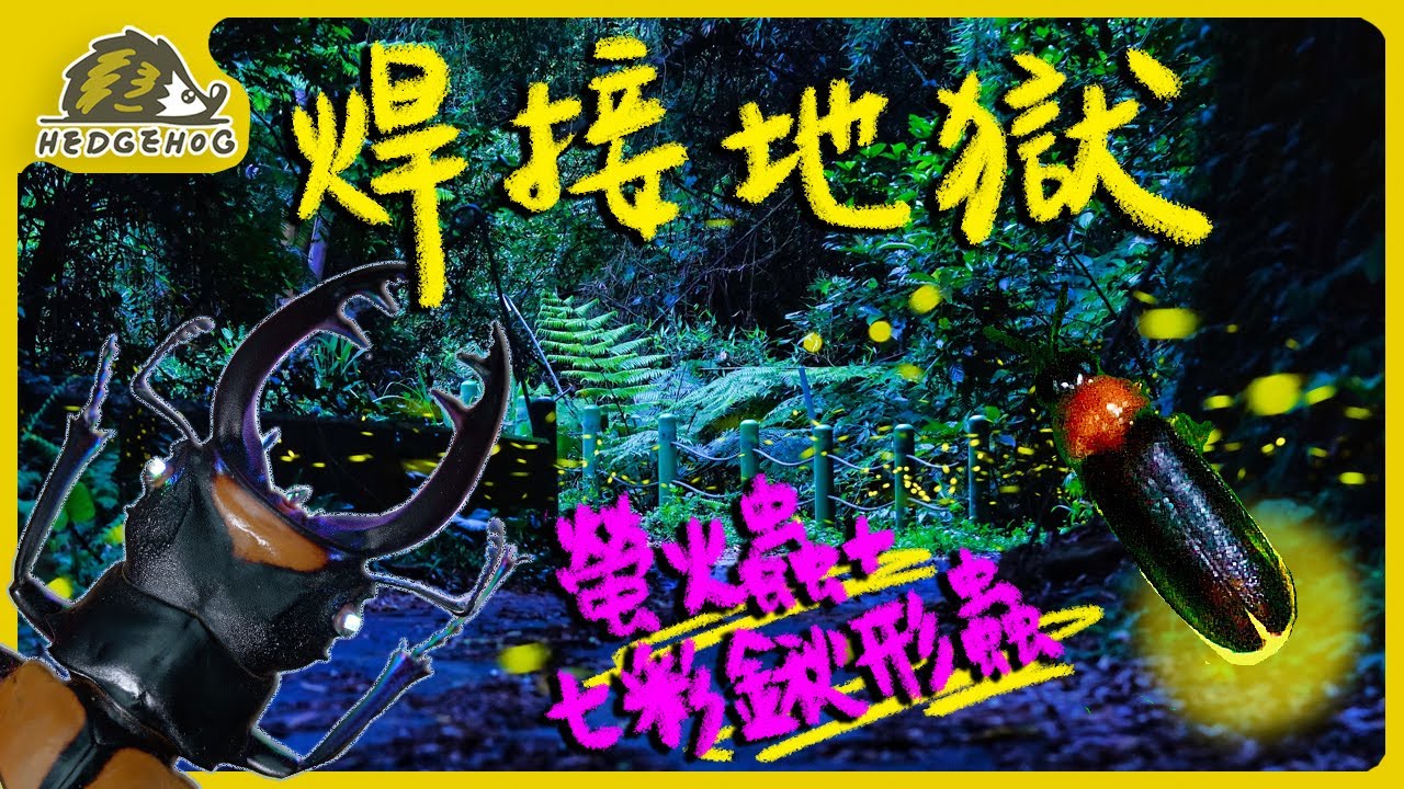 【Cyberpunk鍬形蟲】一個幾乎看不到焊點和銅線的作品, 全憑感覺上的焊接地獄|復刻螢火蟲夢想的代價…【Hedgehog刺蝟幫】