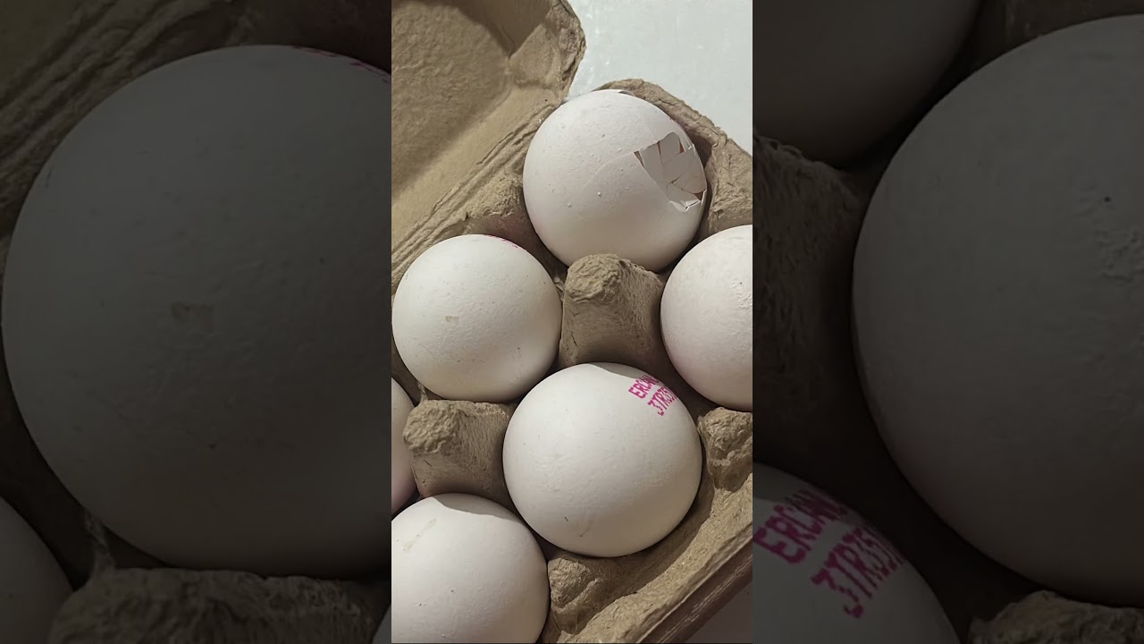 A-101 bozuk ürün satiyor 