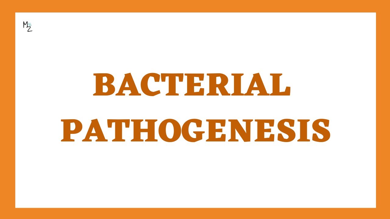 Bacterial Pathogenesis: Stages, Determinants and Virulence | This is How Bacteria Cause Damage