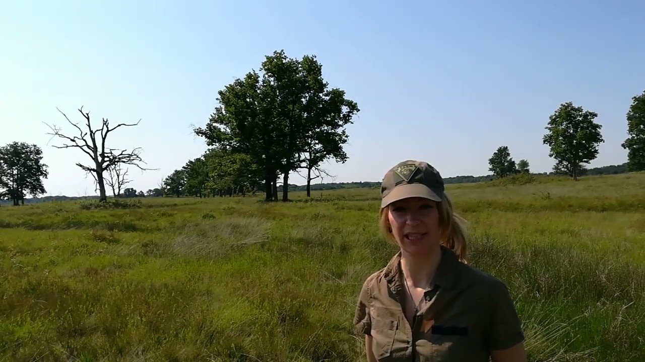 CONSERVATION RANGERS: a message from our Ranger Kyt Lyn Walken