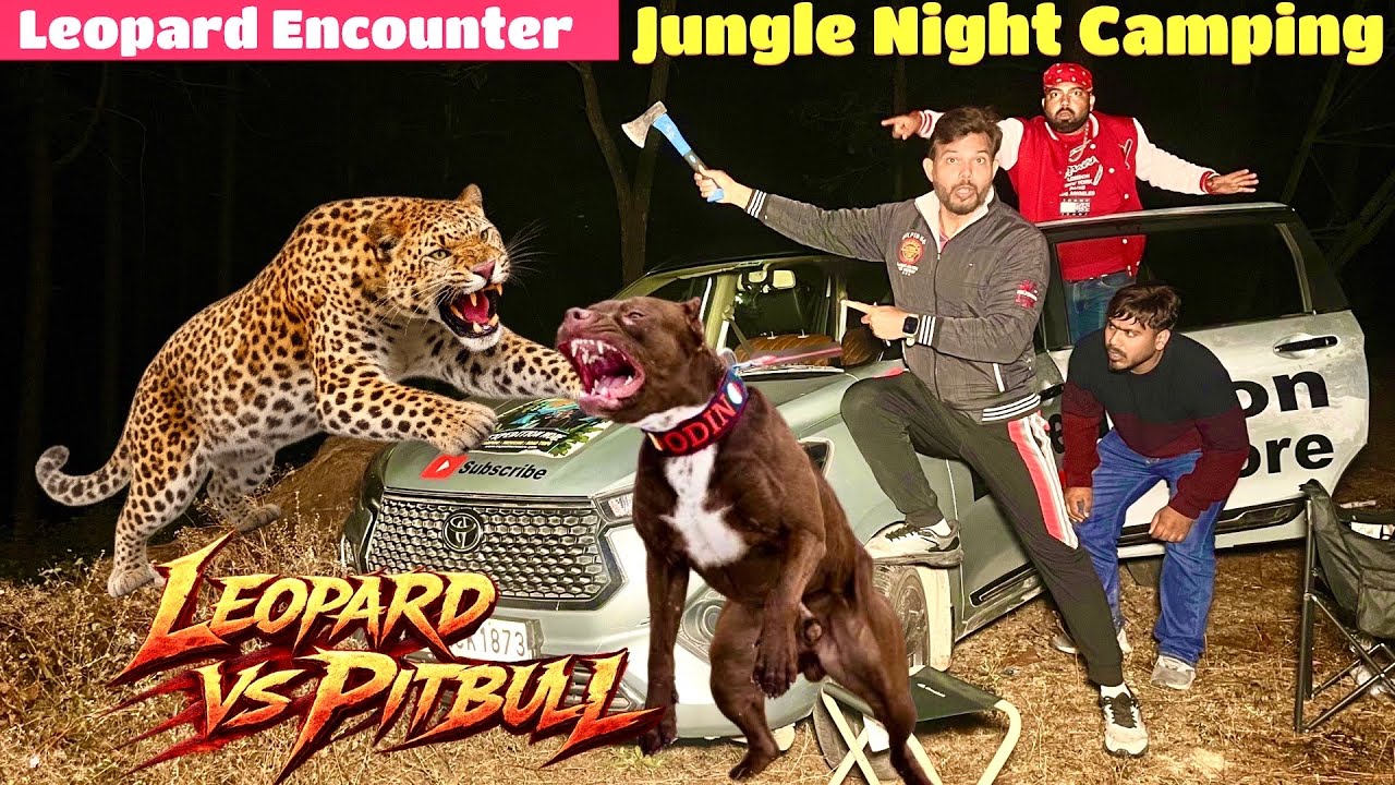 Leopard अचानक से Car Camping के पास आ गया | Leopard Ambush | Camping in india | Night Jungle Camping