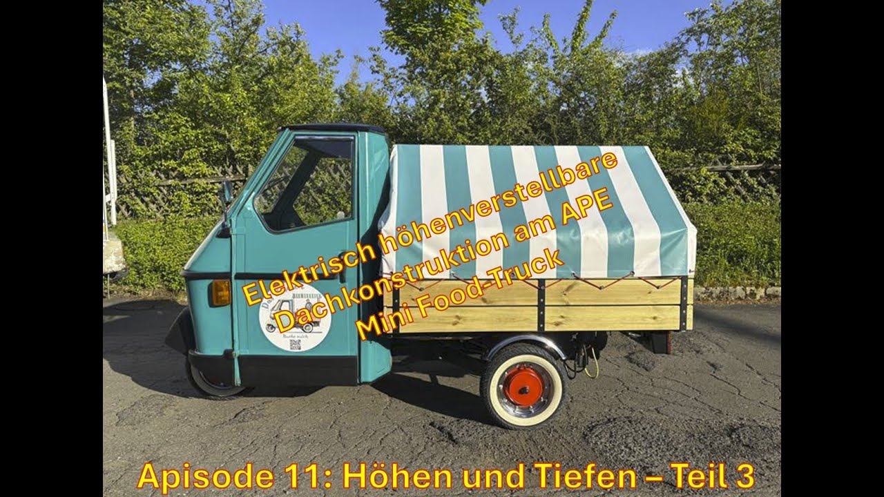 Apisode 11: Höhen und Tiefen 3 - Das bittere Ende 😢 | Plane drauf & dann...