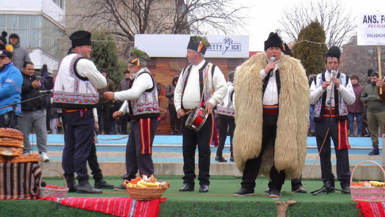 PLUGUȘORUL DE LA HODORA - COTNARI, 2019
