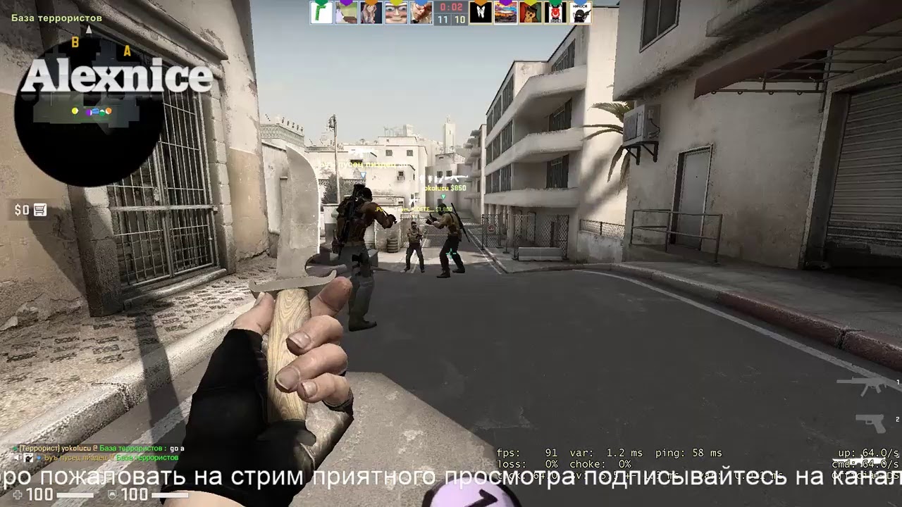 Alexnice play cs go