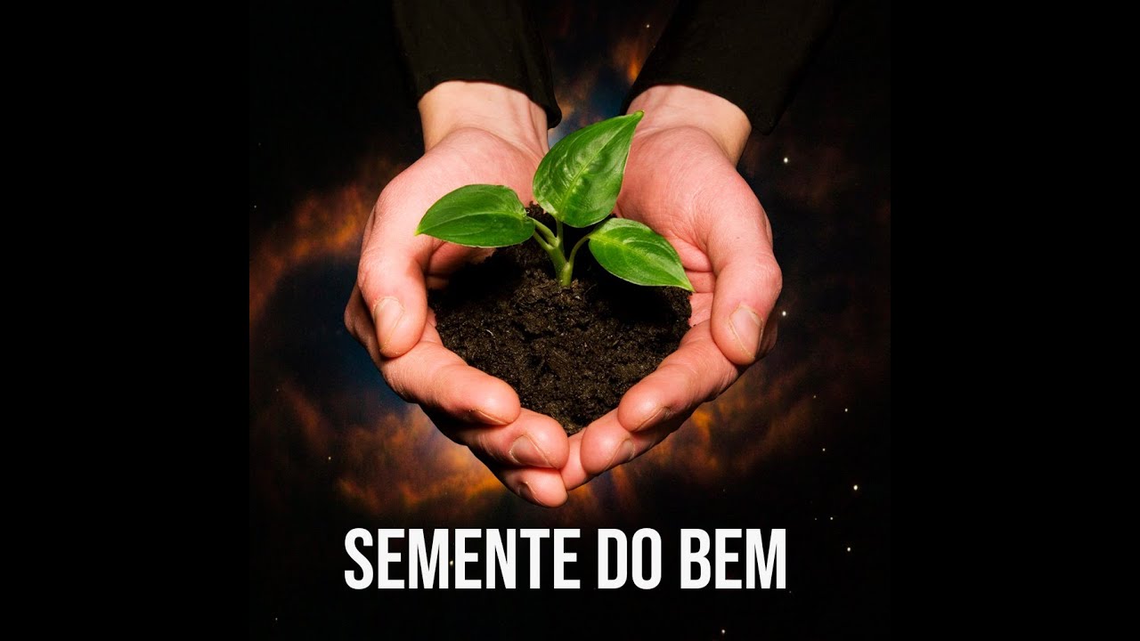 Mr. Gyn - Semente do Bem