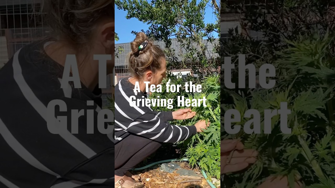 A TEA FOR THE GRIEVING HEART- a supportive herbal blend #greif #herbalhealing #teafortheheart