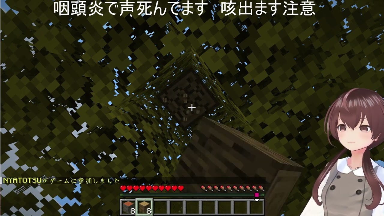 5周年記念日！推しとマイクラエンドラ討伐するぞ～