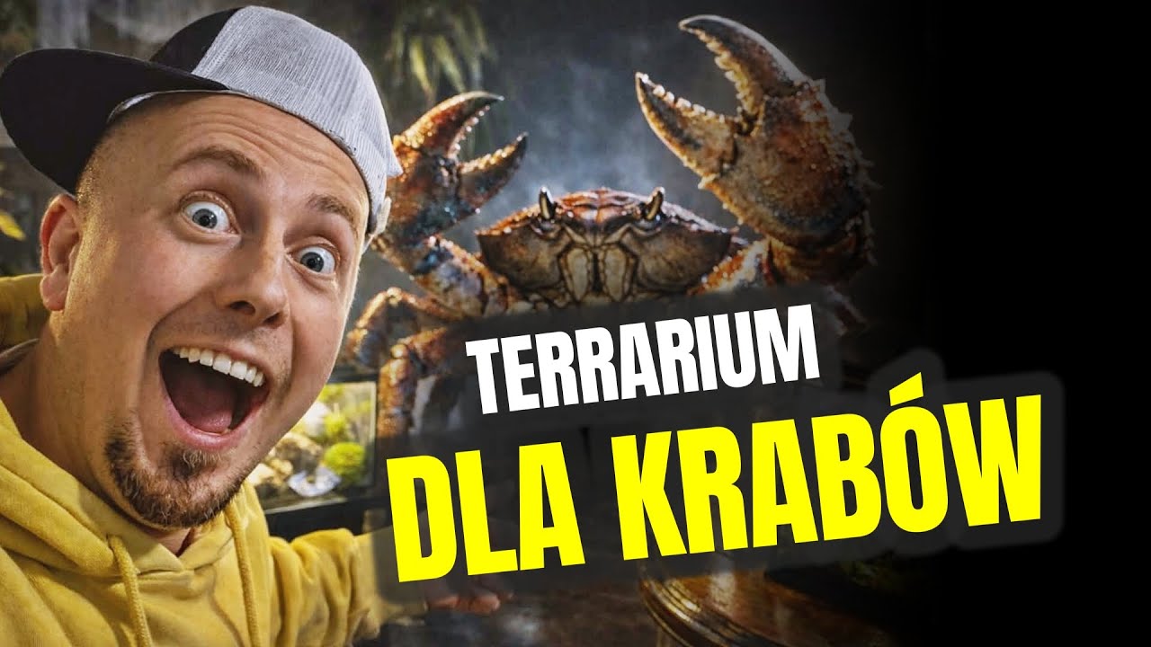 ZROBIŁEM TERRARIUM DLA KRAB&Oacute;W 🦀 odc. 829
