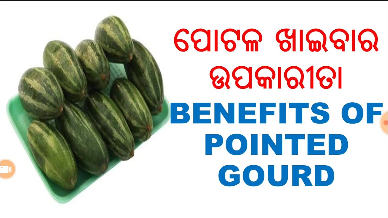 ପୋଟଳ ଖାଇବାର ଉପକାରୀତା,ODIA,ODIA HEALTH TIPS ON PARWEL,ODIA HEALTH BENEFITS PARWEL, VARKHA MOHAPATRA