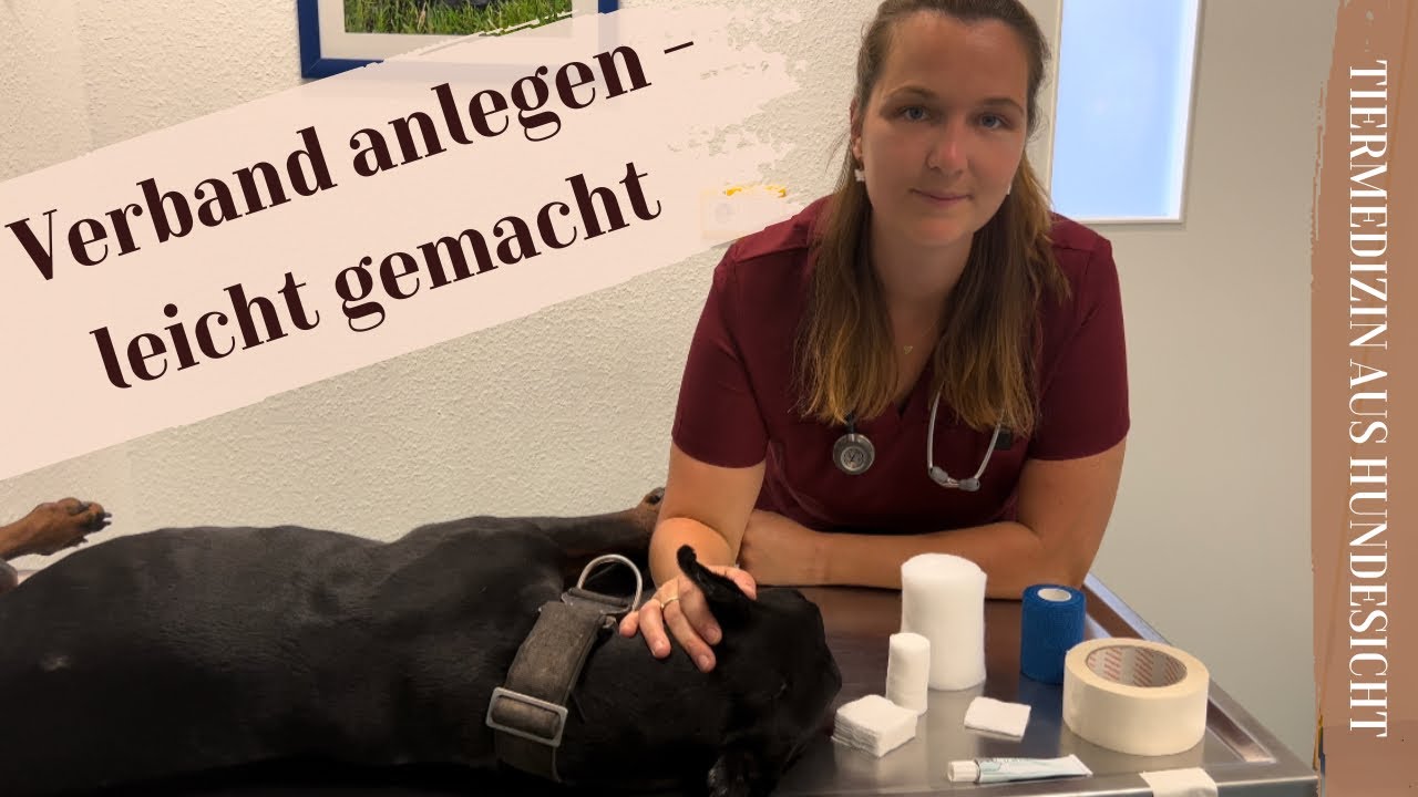 Verband anlegen beim Hund - leicht gemacht