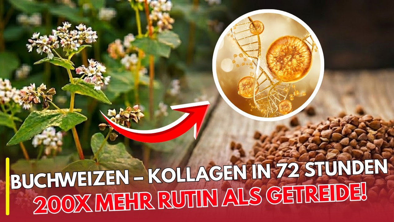 Kollagen in 72 Stunden erneuern? Die vergessene Pflanze mit extrem viel Rutin | EHRLICH ESSEN