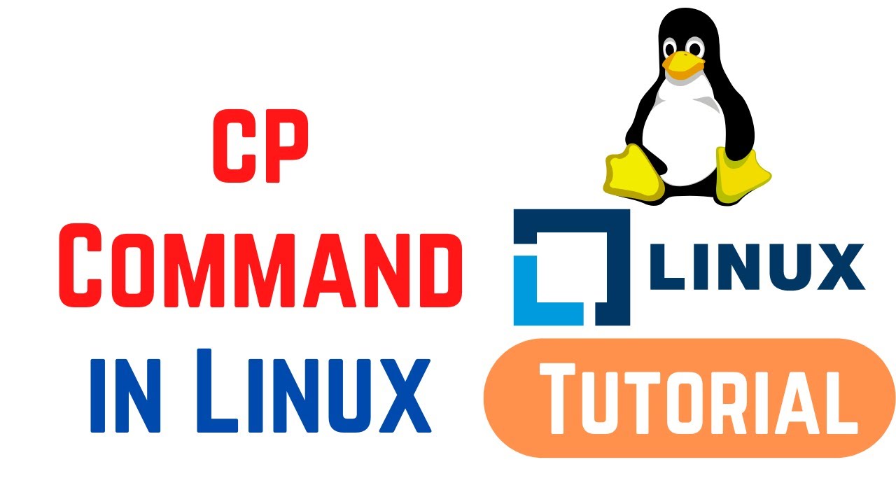 Linux Command Line Basics Tutorials - cp Command in Linux