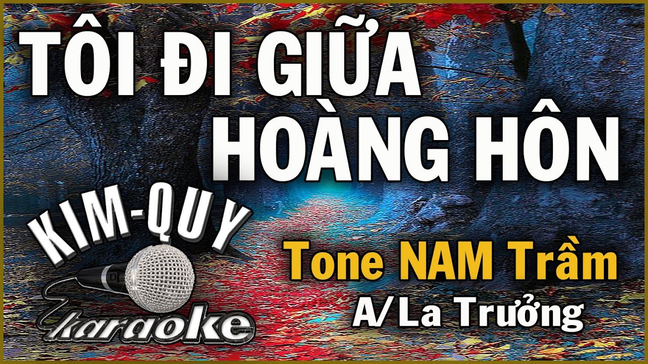 TÔI ĐI GIỮA HOÀNG HÔN - KARAOKE - Tone NAM Trầm ( A/La Trưởng )