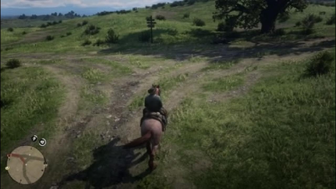 Red Dead Redemption 2 Misoure Fox Throter no início do jogo