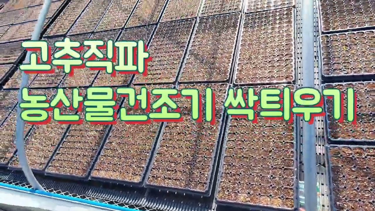 농산물건조기 고추씨앗 발아하기