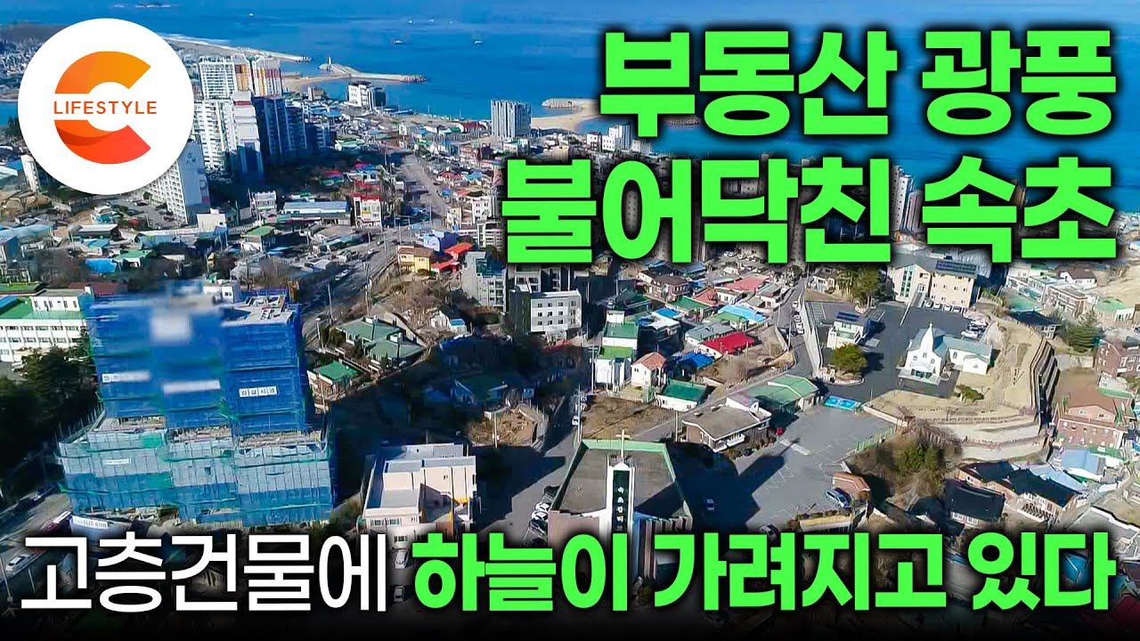 시내버스도 꽉 찰 만큼 사람들로 가득했던 도시, 이제는 어부도 사라지고 있다ㅣ찾아오던 철새들도 찾지 않는 속초에 일어난 변화ㅣ속초생활도감ㅣ#EBS다큐컬렉션
