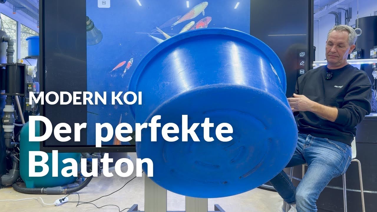 Profi-Koiwannen aus Japan: lohnen sie sich wirklich? | Modern Koi Blog #7954
