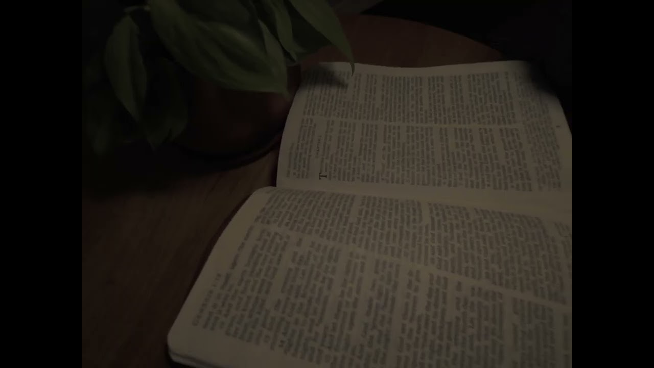KJV Bible Reading: Genesis Chapter 1 | A Quiet Bible Moment Before Sleep