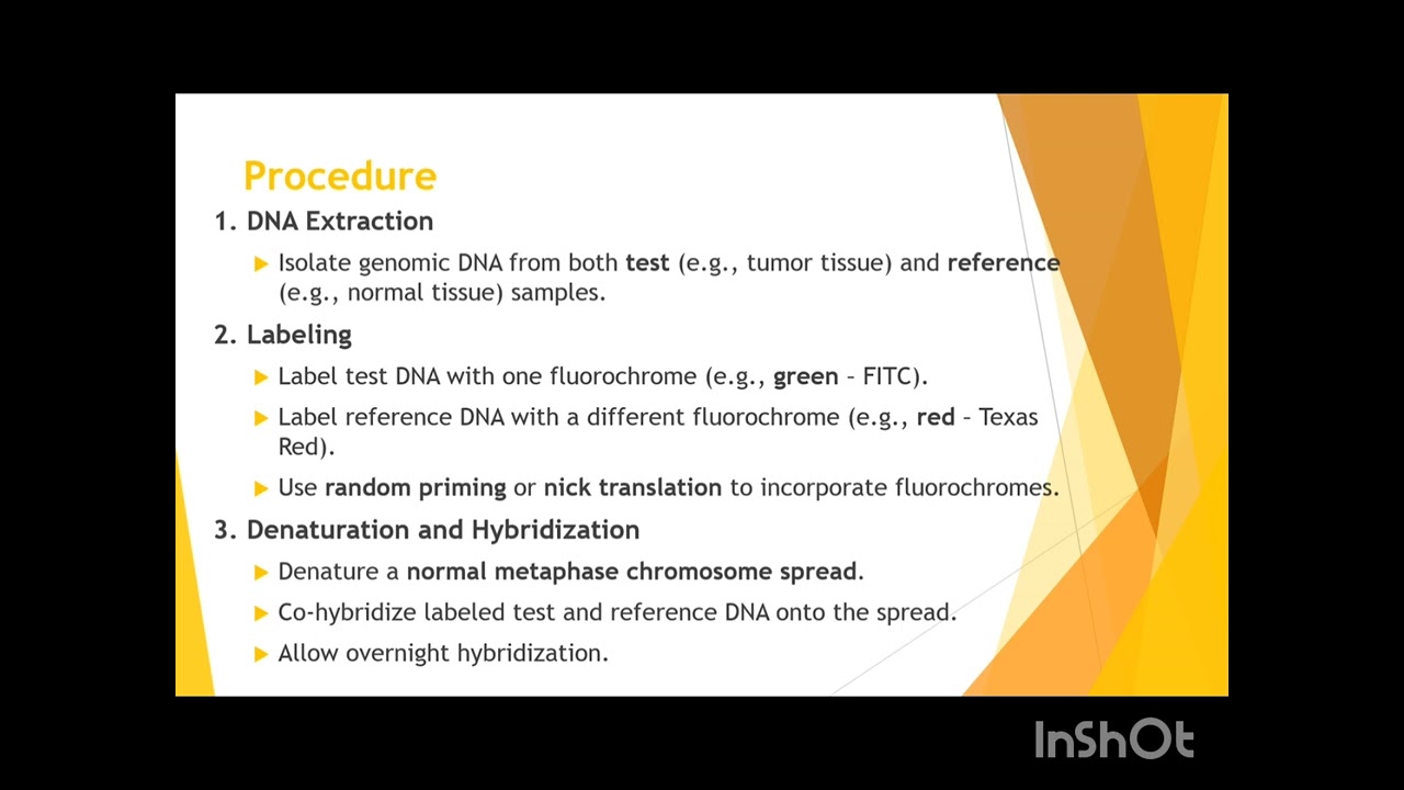 Comparative Genome Hybridization