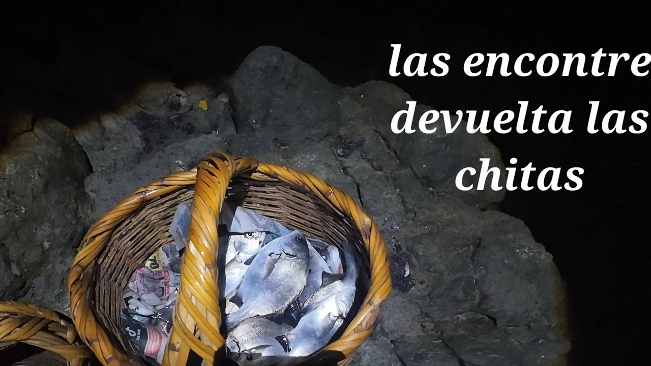 SIGUEN LAS CHITAS EN ESTA ZONA DE PESCA  👇 