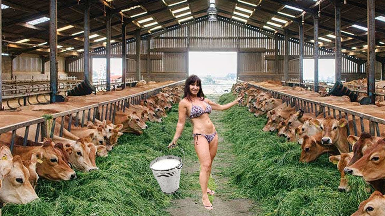 Farm #WithMe Pretty Girl Animal Rescue BABY CALF BORN Incredible Cow Milking Farming Hoof Trimming
