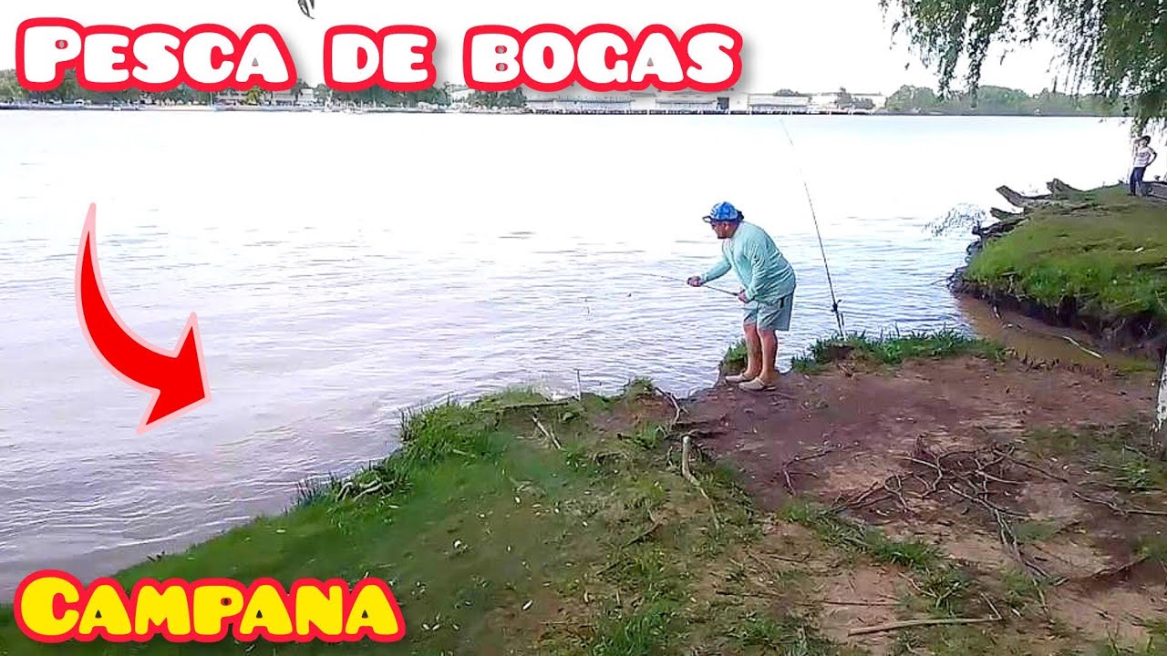 PESCA DE BOGAS EN EL PARANA ! Camping Club de Pescadores de Campana
