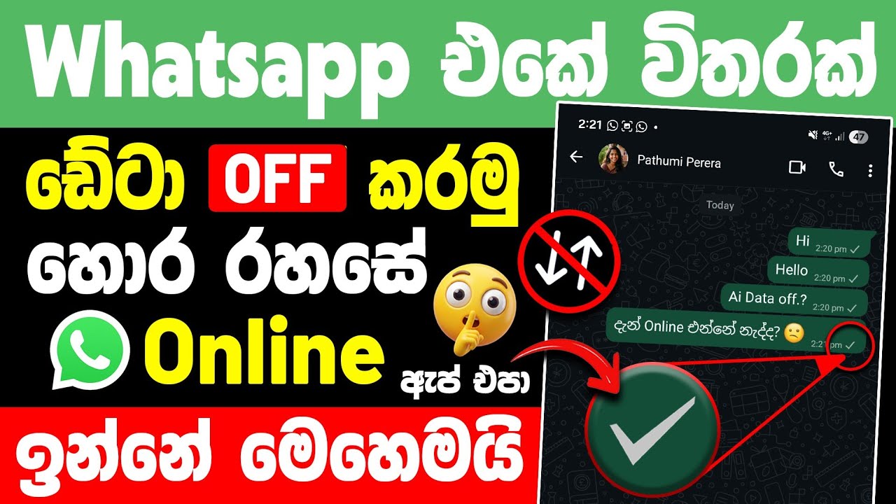 How To Off Whatsapp Data Connection sinhala 🚫 | Hide Delivered Tick in whatsapp
