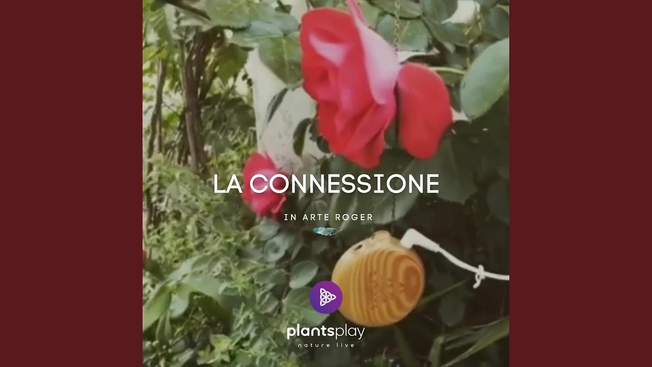 La connessione