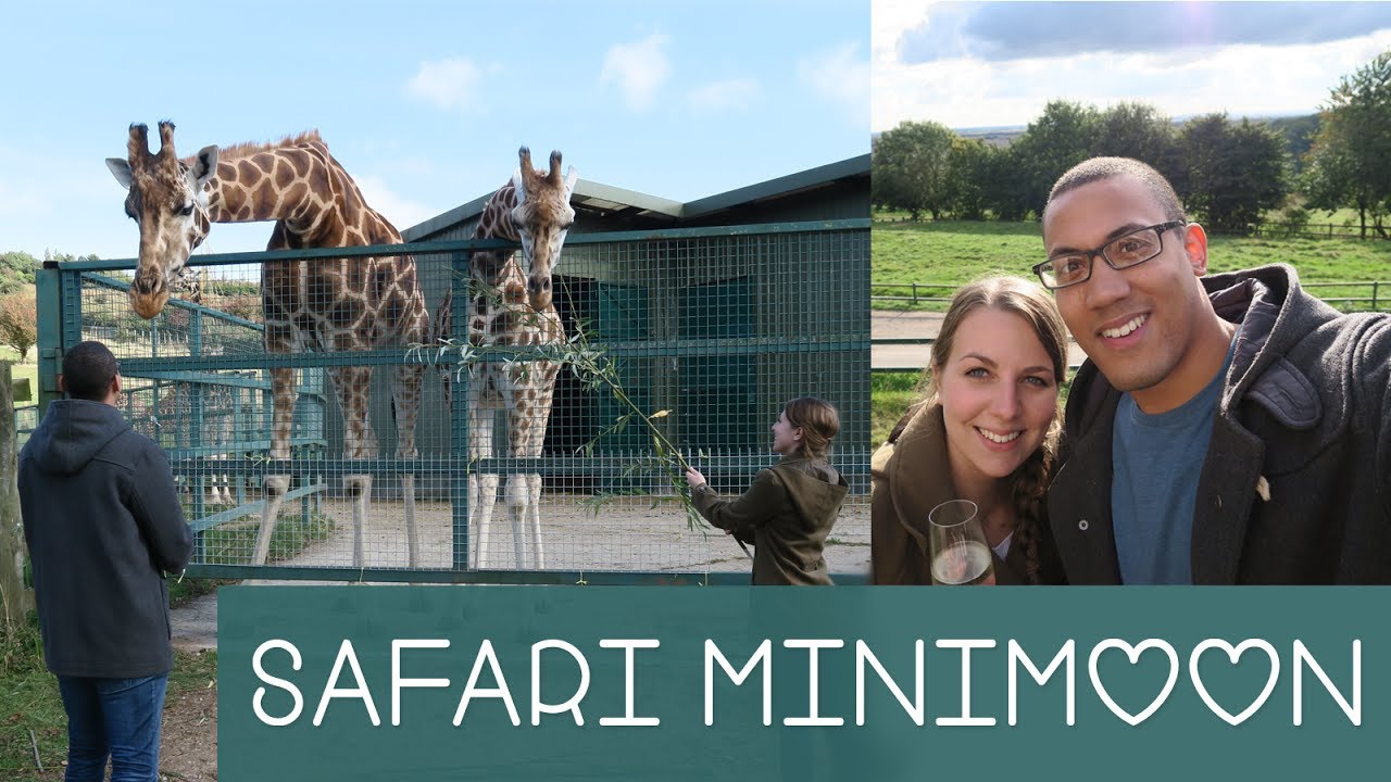 Amazing Safari Minimoon at Port Lympne Treehouse