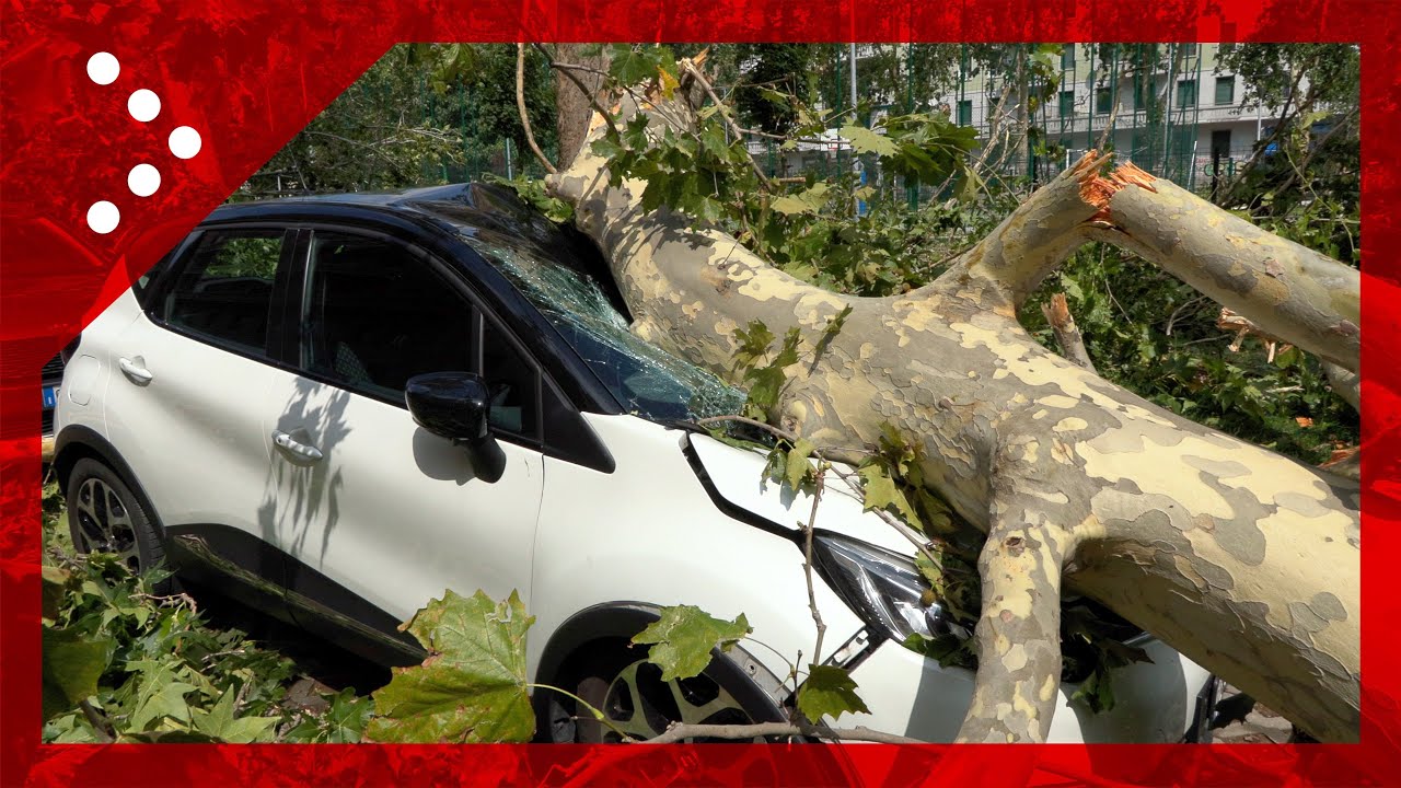Tempesta di maltempo su Milano: situazione disastrosa in viale Argonne