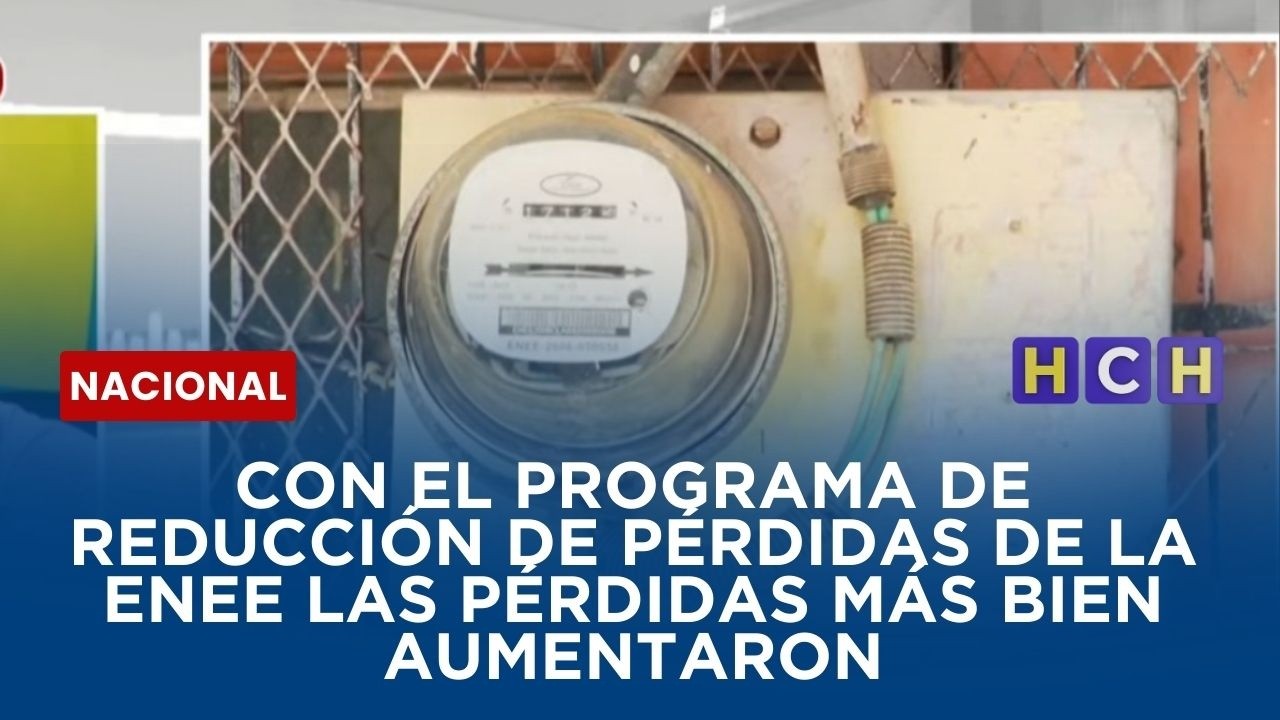 Con el programa de Reducción de Pérdidas de la ENEE las pérdidas más bien aumentaron